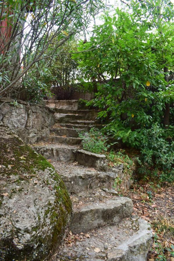 Casita En La Sierra Villa Zarzalejo Eksteriør billede